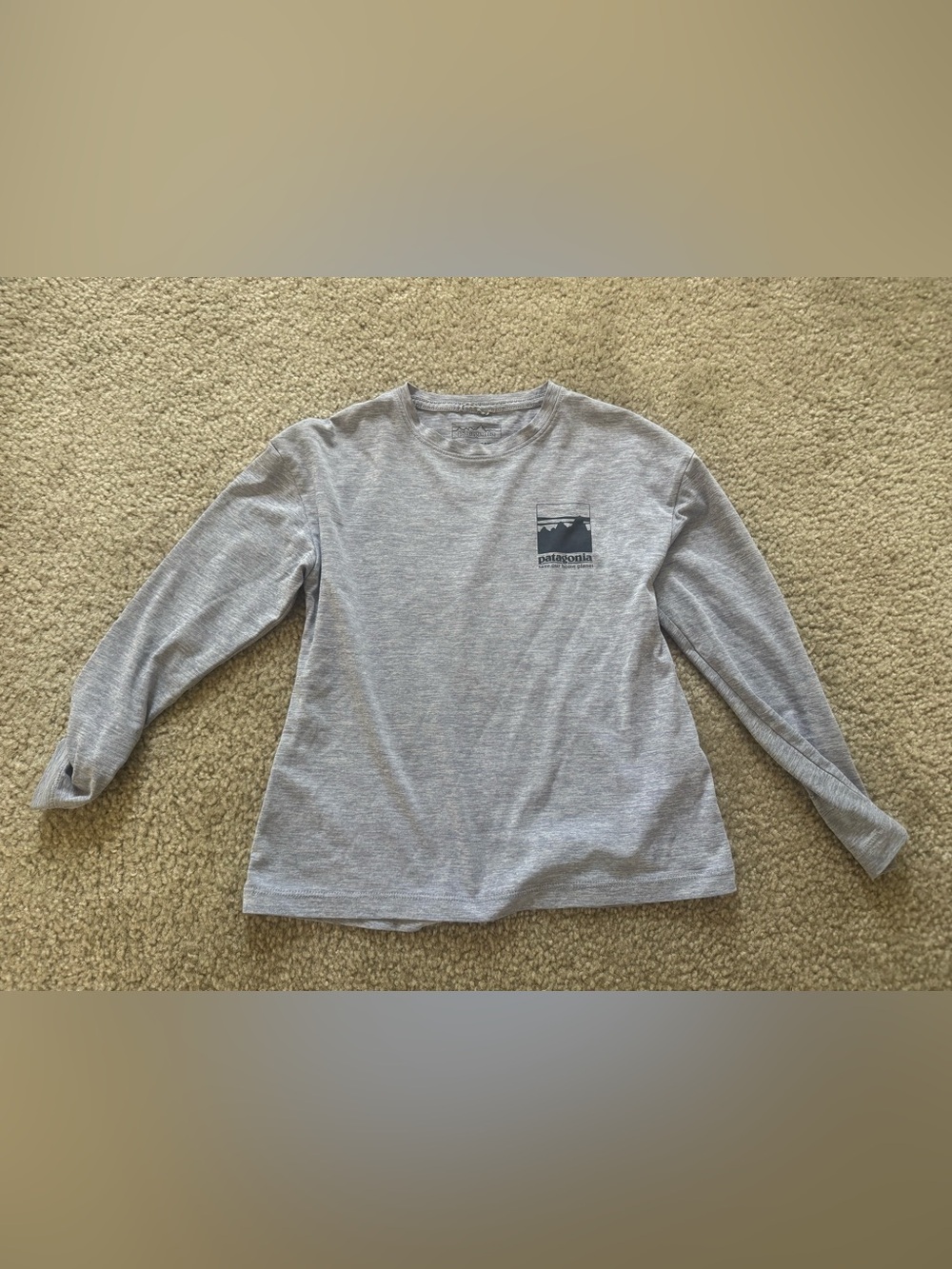 Patagonia Long Sleeve Logo Tee in Light Heather Gray kid girl tee size 7-8